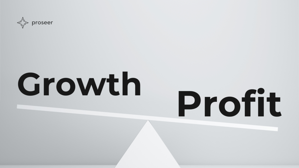 Business Profitability Vs Growth Balancing Strategy